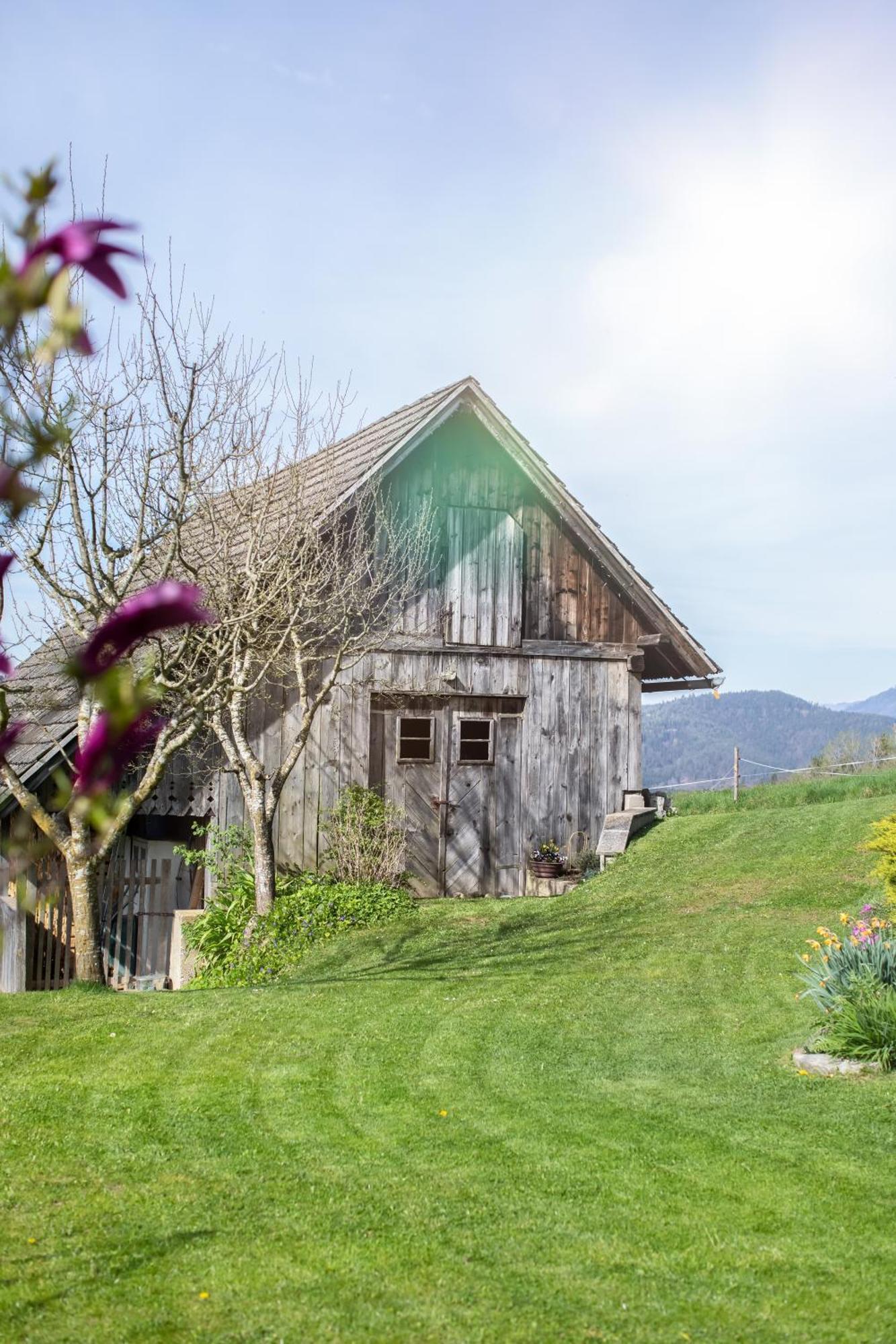 Ferienhaus Nuova Via Griffen Extérieur photo